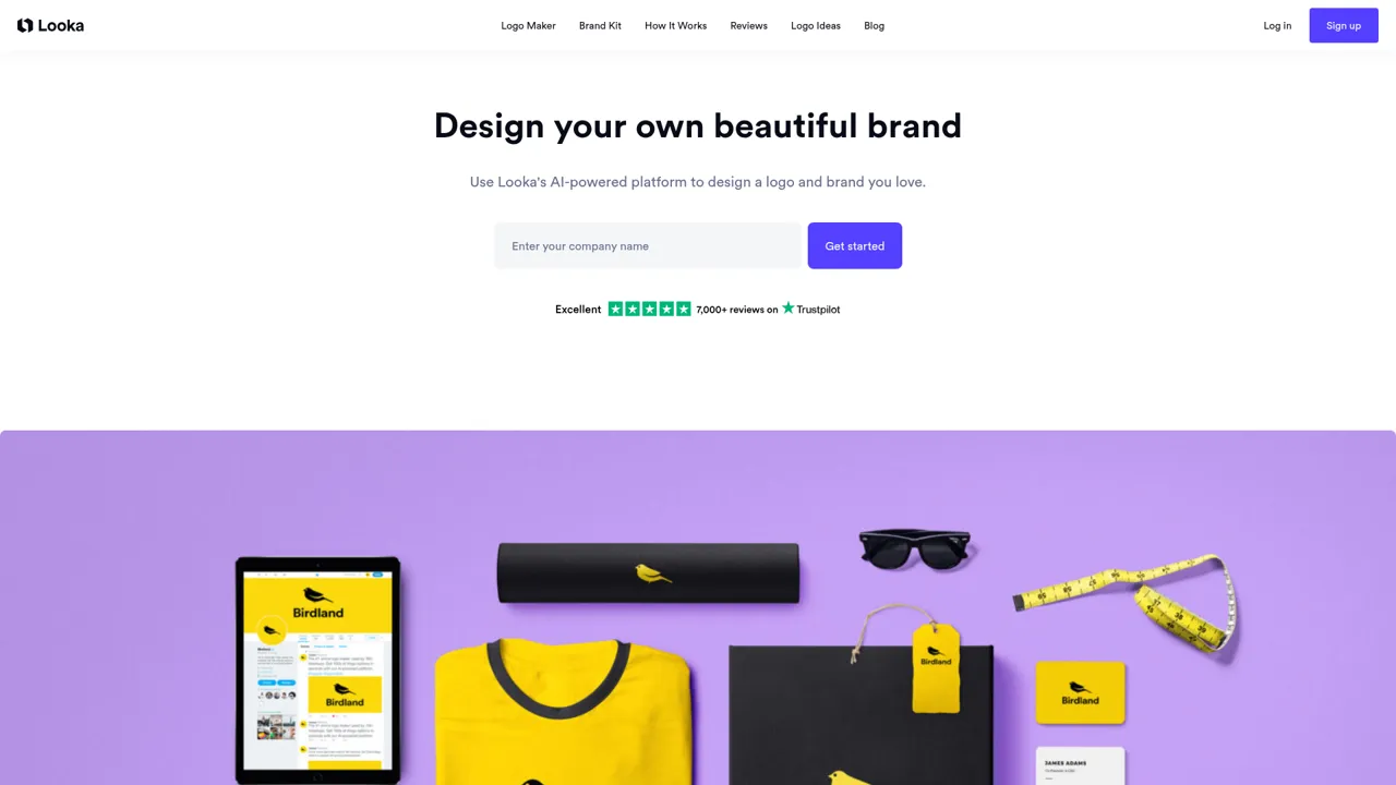 Looka Brand-Kit